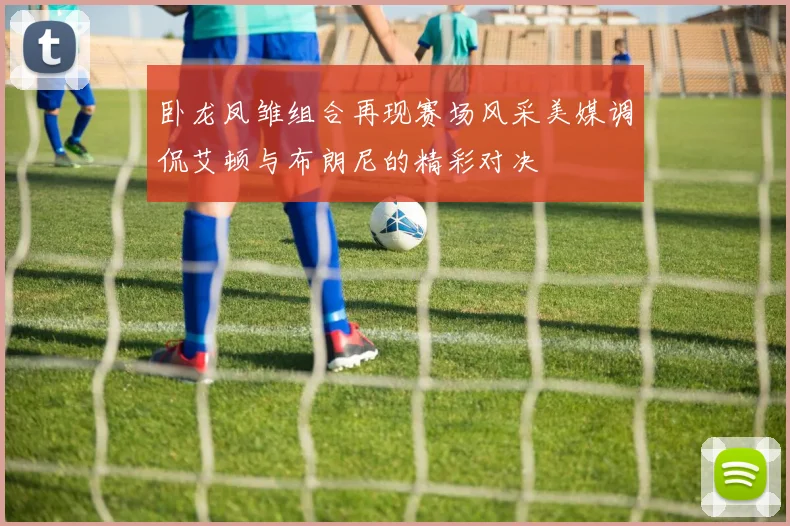 卧龙凤雏组合再现赛场风采美媒调侃艾顿与布朗尼的精彩对决