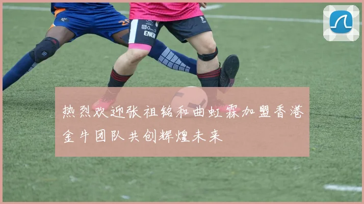热烈欢迎张祖铭和曲虹霖加盟香港金牛团队共创辉煌未来