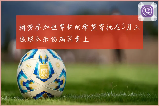 梅努参加世界杯的希望寄托在3月入选球队和伤病因素上
